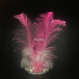Corona 3 Plumas Color ROSA