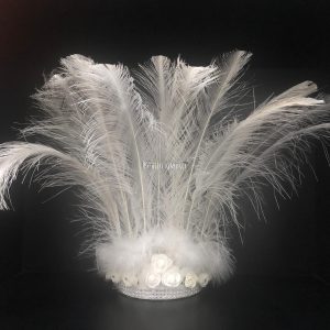 Corona 9 Plumas Color BLANCO