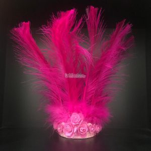 Corona 9 Plumas Color FUCSIA