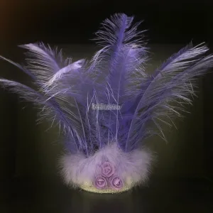 Corona 9 Plumas Color LILA