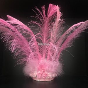 Corona 9 Plumas Color ROSA