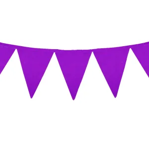 Banderin Liso Color VIOLETA 3 Mts (Friselina)