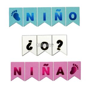 Banderin Revelación NIÑO O NIÑA Celeste, Blanco y Rosa