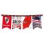 Banderin River Plate 3mts - Licencia Oficial
