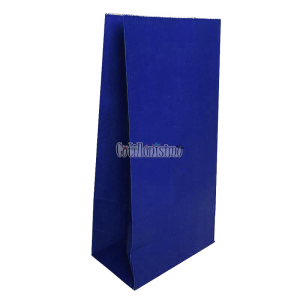 Bolsa Papel Color Azul 12 x 7 Cm X 24cm x10 Unidades