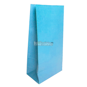 Bolsa Papel Color Celeste Pastel 12 x 7 Cm X 24cm x10 Unidades