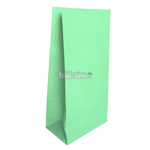 Bolsa Papel Color Verde Pastel 12 x 7 Cm X 24cm x10 Unidades
