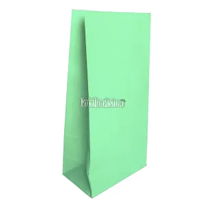 Bolsa Papel Color Verde Pastel 12 x 7 Cm X 24cm x10 Unidades