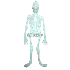 Esqueleto Fosforescente Plastico 32cm PATRIMAR