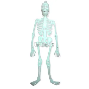 Esqueleto Blanco Plastico 32cm PATRIMAR