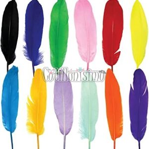 Plumas X50 Unidades