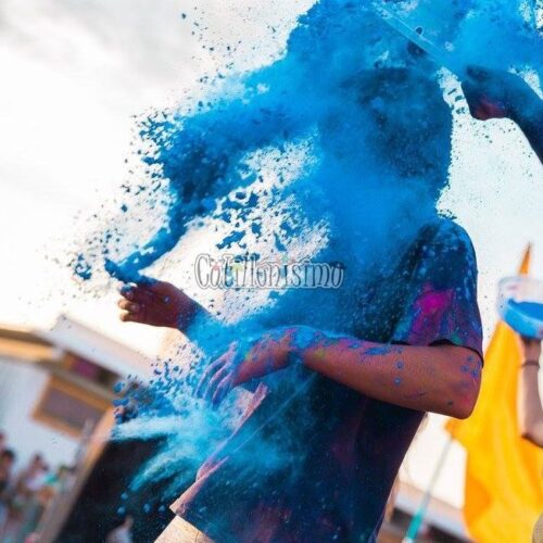 Polvo Holi Color Celeste x50grs Pintafan