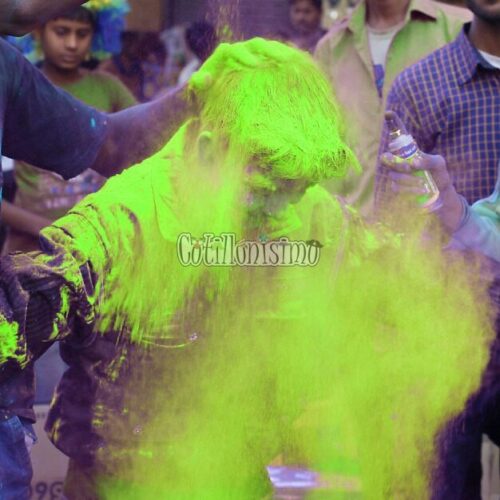 Polvo Holi Color Lima x50grs Pintafan