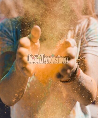 Polvo Holi Color Naranja x50grs Pintafan