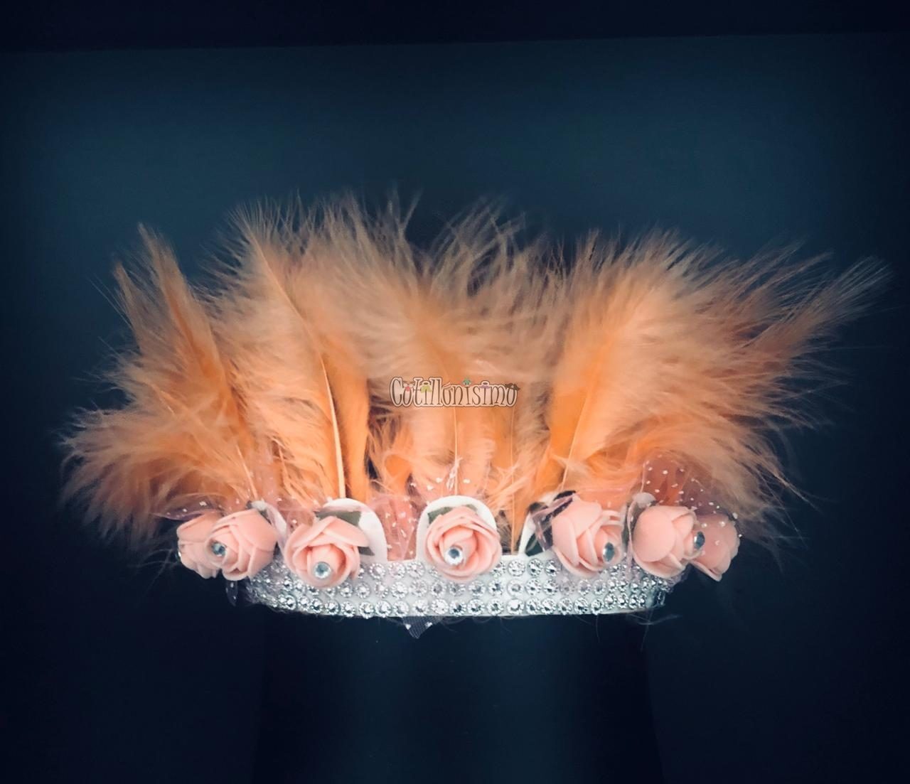 Corona Chica Rosas y Plumas Color SALMON