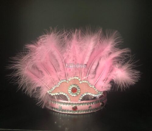 Corona Con Plumas Color ROSA (Chica)