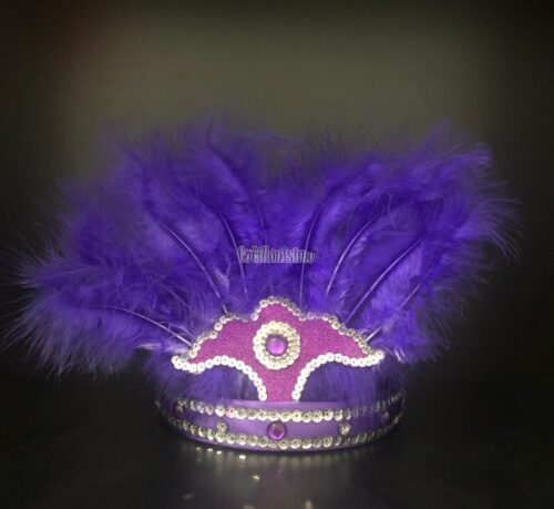 Corona Con Plumas Color VIOLETA (Chica)