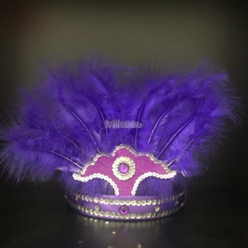 Corona Con Plumas Color VIOLETA (Chica)