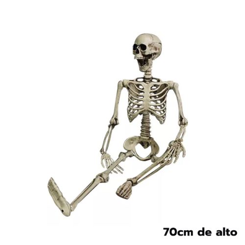 Esqueleto Humano Articulado de Plastico 70cm