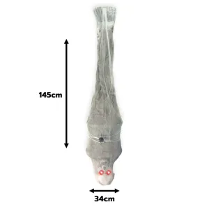Esqueleto Atrapado en la Telaraña para Colgar con LED 145cm