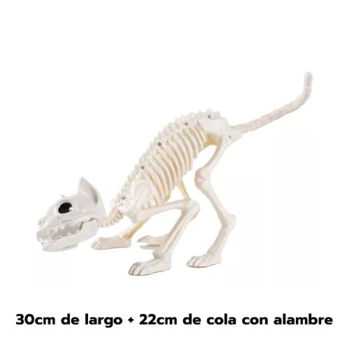 Esqueleto de Gato de Plastico 30cm