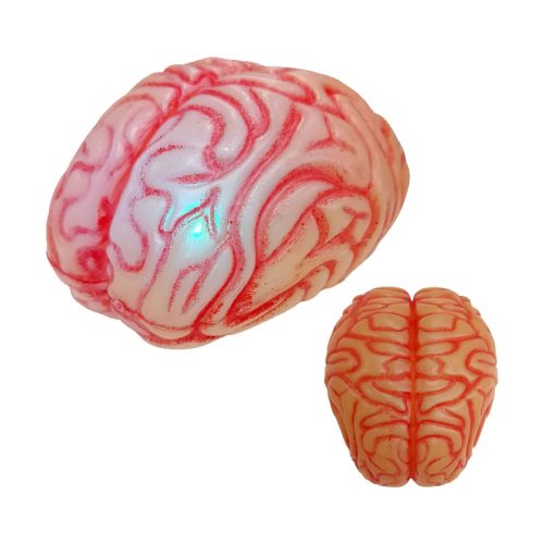 Cerebro con Luz Multicolor