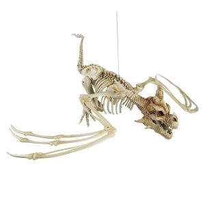 Esqueleto de Pterosaurio de Plastico 90 cm