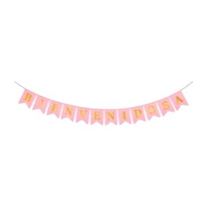 Banderin Bienvenido/as Rosa 3mts