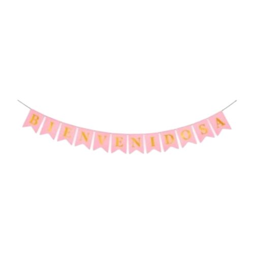 Banderin Bienvenido/as Rosa 3mts