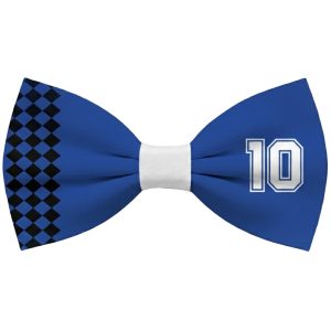 Moño Argentina N° 10 Grande 30 cm
