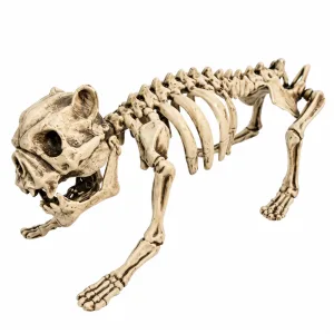 Esqueleto de Perro Hellhound 40cm