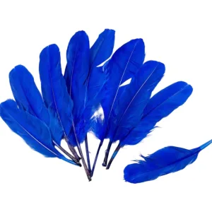 Plumas X50 Unidades Azul