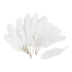 Plumas X50 Unidades Blanca
