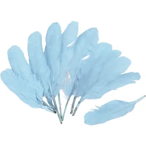 Plumas X50 Unidades Celeste
