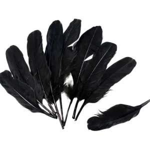 Plumas X50 Unidades Negro