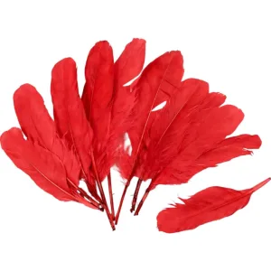 Plumas X50 Unidades Rojo