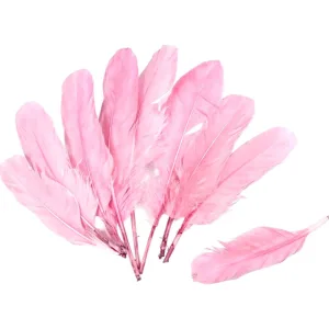 Plumas X50 Unidades Rosa